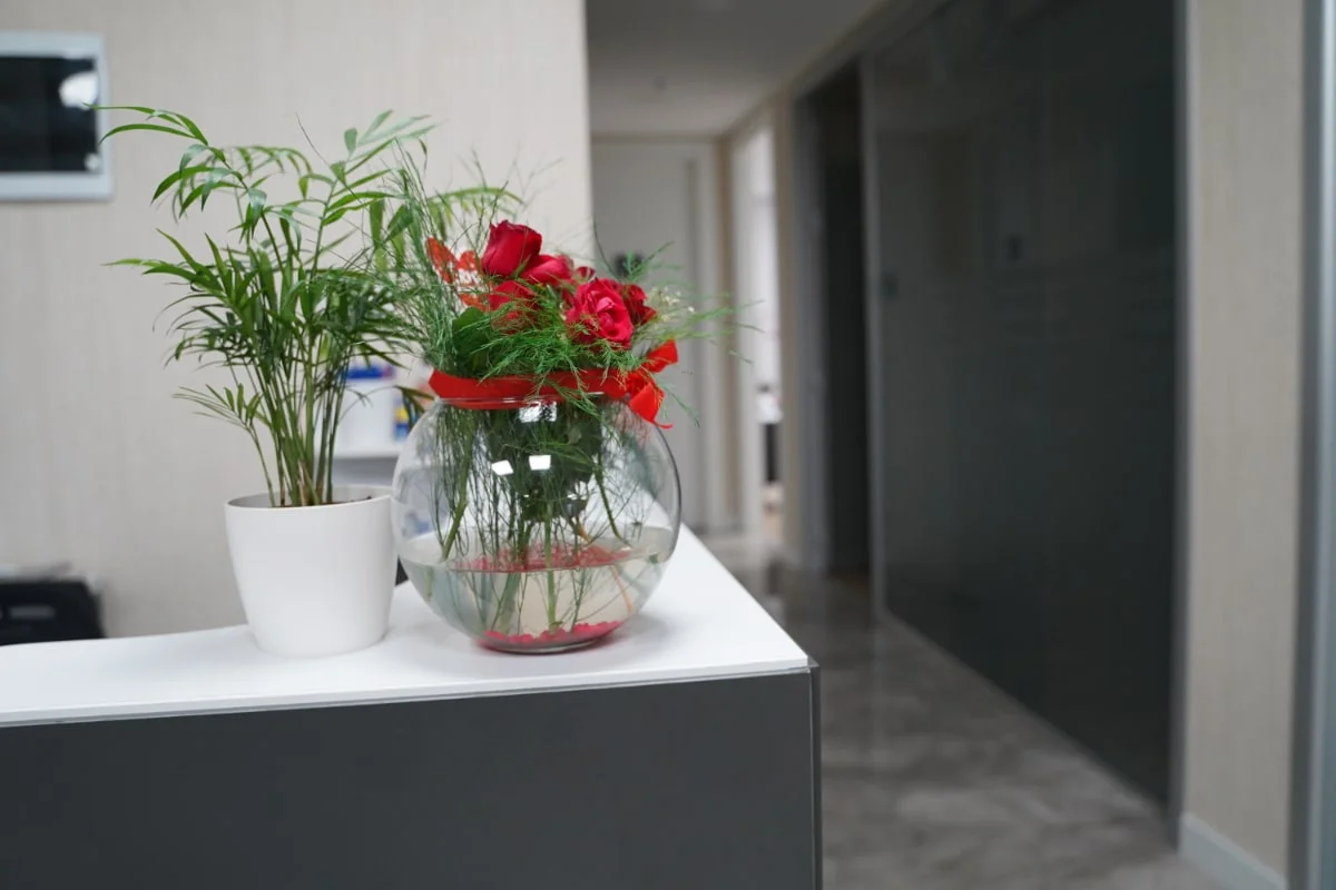 Esin Doğru Kliniği